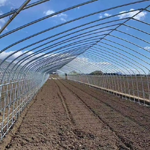 天津种植大棚 温室大棚材料与建设