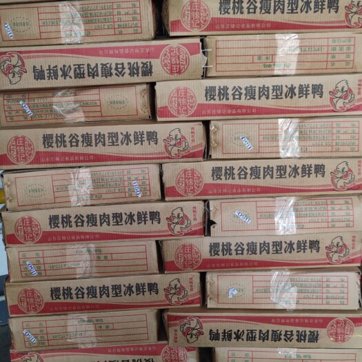 长沙 厂家直销白条鸭