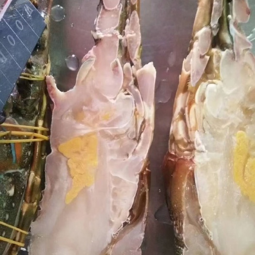 上海小青龙龙虾 小青龙 全规格