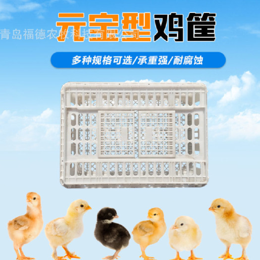 诸城市 塑料筐  元宝型鸡筐  鸡鸭鹅用运输筐  白色塑料筐