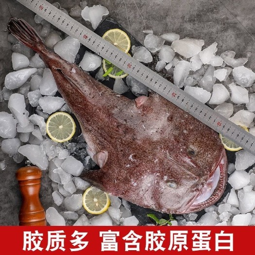 去内脏留肝肚深海安康鱼肉排骨火锅食材涮品烤肉特色安康鱼块丑鱼