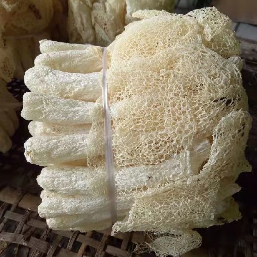 宁德古田长裙竹荪福建特产无硫竹荪新货天然野生竹荪煲汤食材批发
