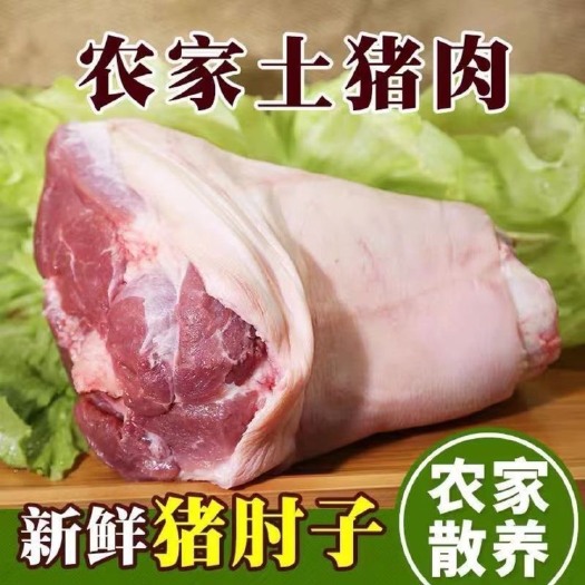 东海县新鲜肥猪肘子国产一级肘子现杀速冻肘子