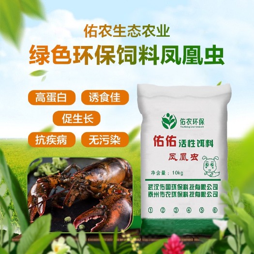 武汉饲料鱼  龙虾饲料，活性饵料，生态养殖，65蛋白