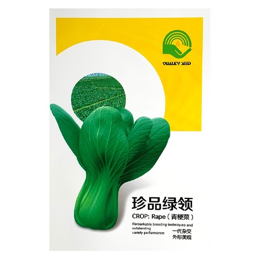  上海青种子青梗菜种子净含量10-100蔬菜种子基地专用