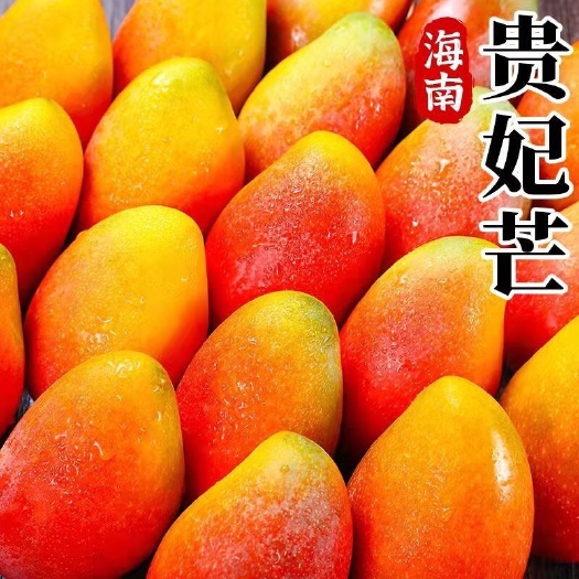 乐东县 海南贵妃芒 红金龙芒果 热带水果 电商平台一件代发 基地直供