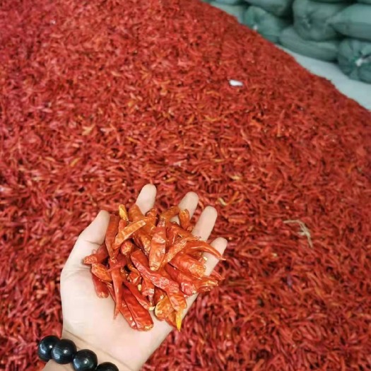 靖西市小米椒 小米辣