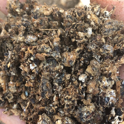 聊城食用菌渣 菌渣，平菇下脚料，有机菌渣