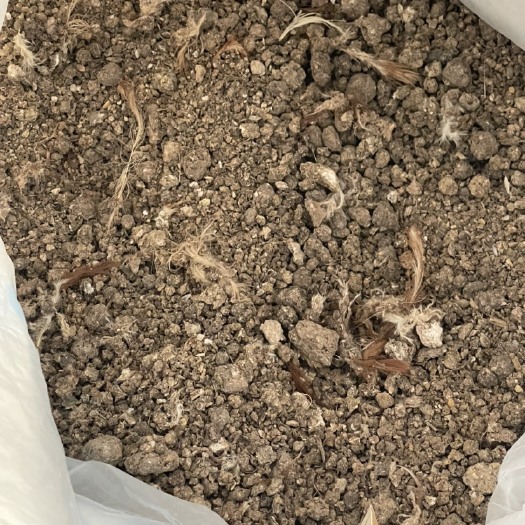 东台市销售发酵干鸡粪，羊粪，有机肥颗粒肥，瓜果蔬菜，苗圃专用肥