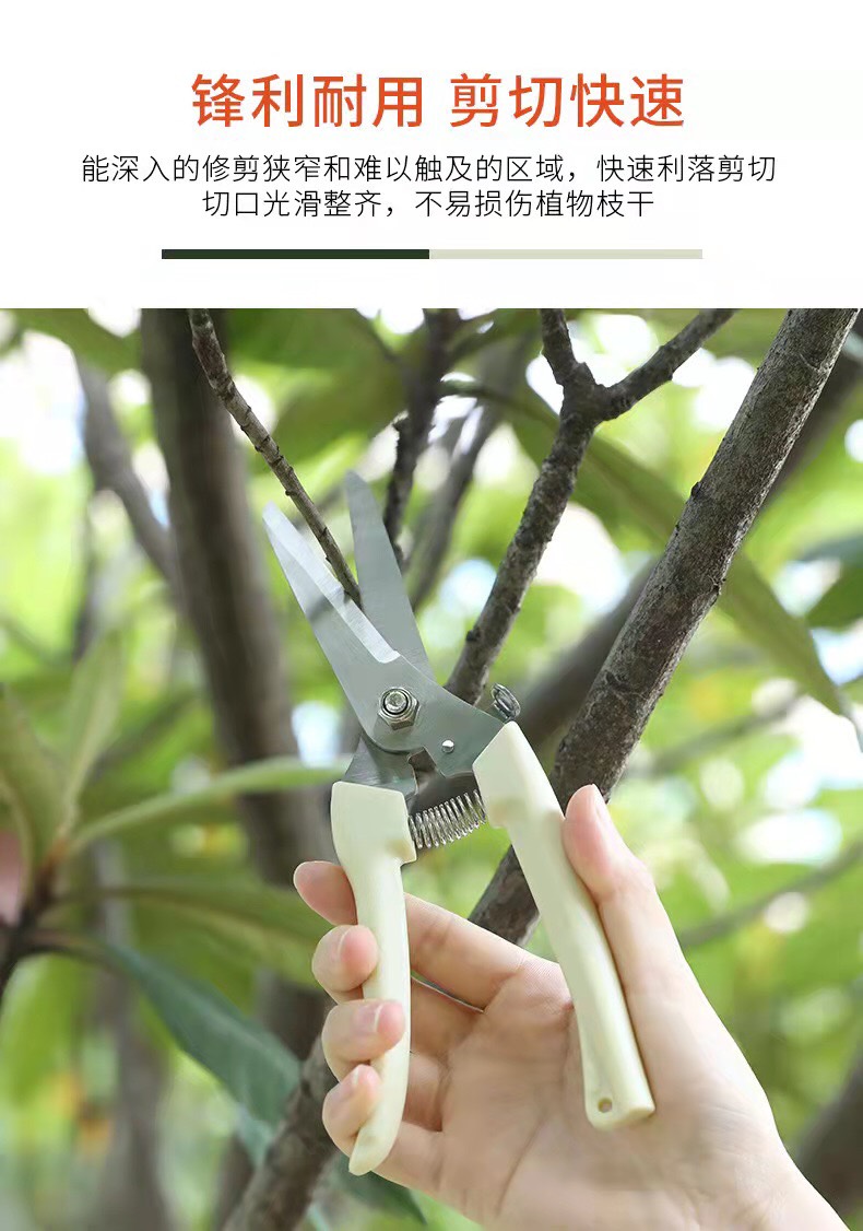 园林剪刀 果树剪刀树枝修枝剪园艺剪修花工具疏果修果树果园园林修剪粗枝剪