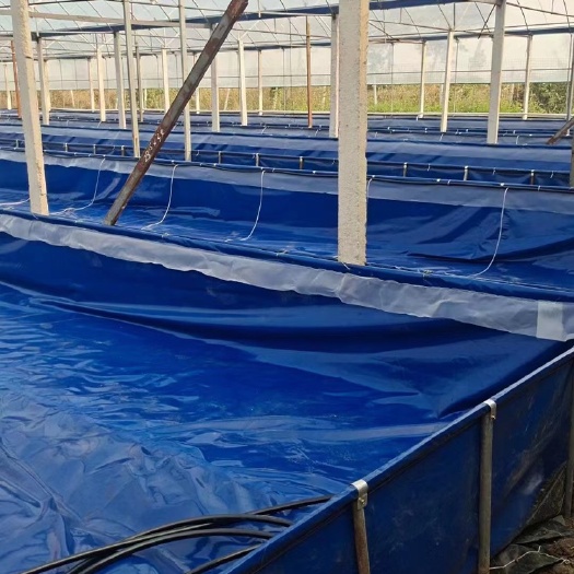 宿迁水蛭蚂蟥养殖水箱 加防逃边刀刮布水箱 帆布池 500克加厚