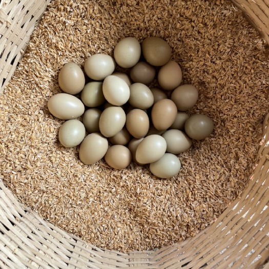 昆明 山鸡蛋