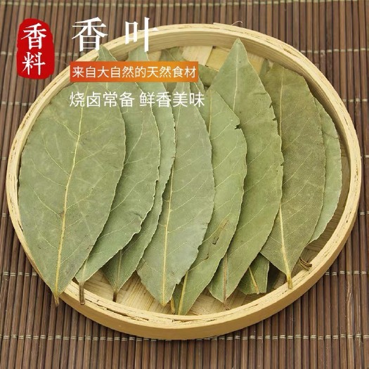 亳州正品新货香叶天然月桂叶/优质调料香辛料香料大全