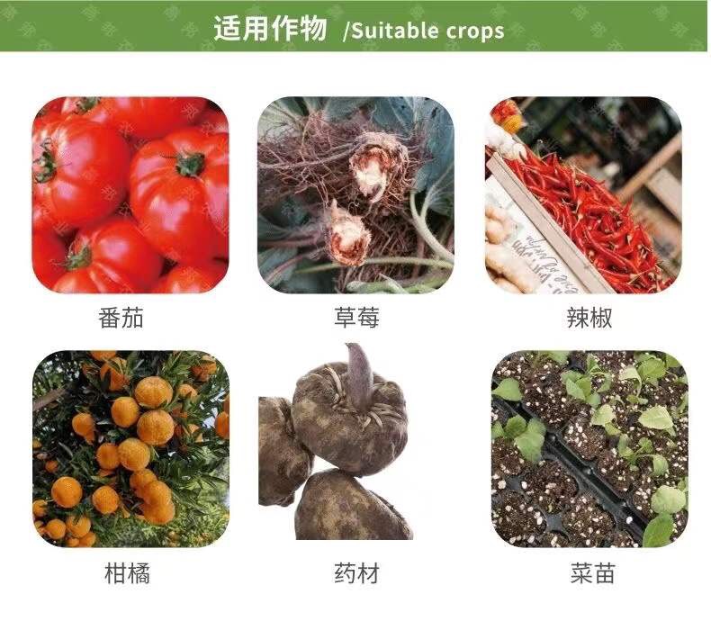 满福庄园23%松脂酸铜 柑橘溃疡病青枯病根腐病真**病害