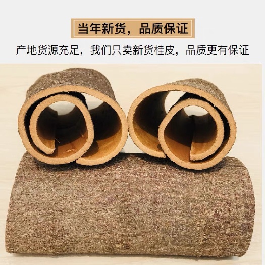 亳州普通桂皮  正品桂皮 正品桂皮大料卤料香料调料大全家用散装