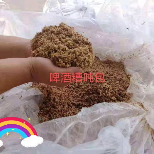 石家庄 啤酒糟，含有丰营养价值蛋白和粗纤维