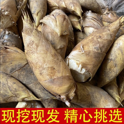 龙岩竹笋，春笋，
