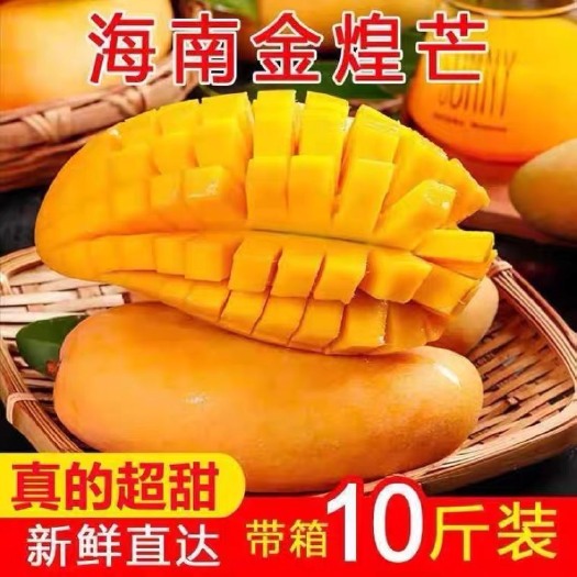 【一件代发】海南金煌芒果10斤当季新鲜水果热带甜心芒整箱