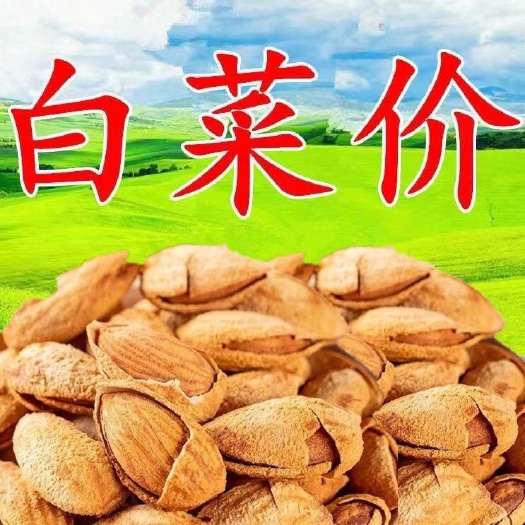 南漳县 巴旦木