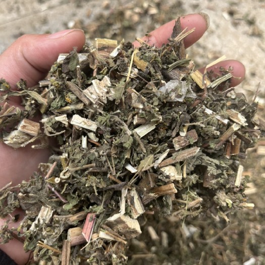 亳州豨签草 中前期货 含量高