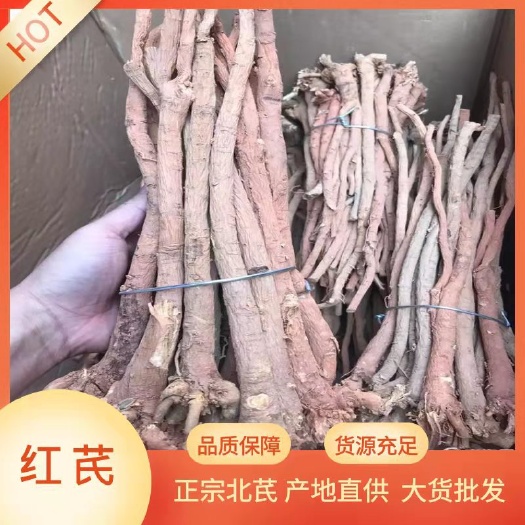 红芪  黄芪 北芪 一手货源产地直供大货批发 价格优势