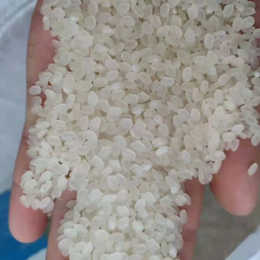 唐山大米 珍珠米。长粒，稻花香