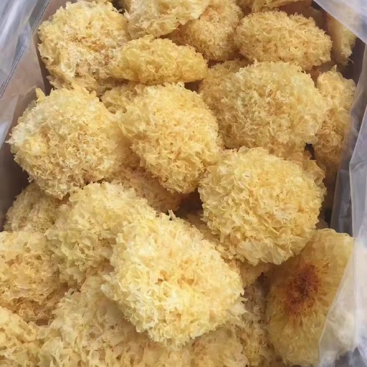 古田县银耳 产地直销各类食用菌