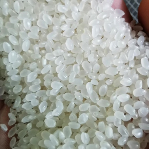 唐山 曹妃甸曹妃贡米