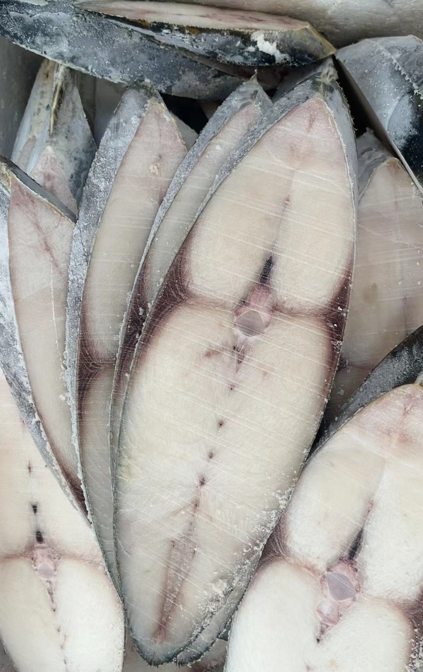 马鲛鱼 鲅鱼 新鲜 冷冻切片