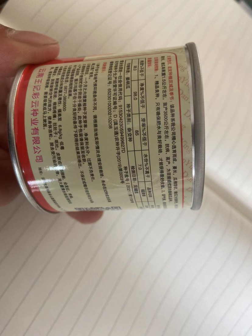 姜柄瓜种子 云南姜柄瓜 福满楼姜柄瓜 绿皮瓜 200粒 包邮到家