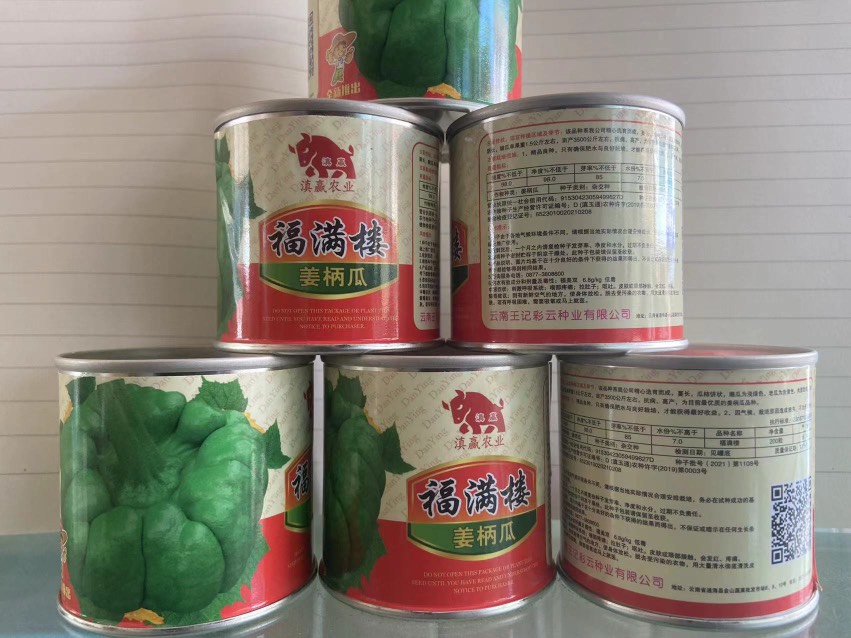 姜柄瓜种子 云南姜柄瓜 福满楼姜柄瓜 绿皮瓜 200粒 包邮到家