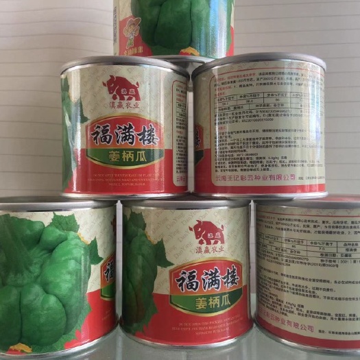 通海县姜柄瓜种子 云南姜柄瓜 福满楼姜柄瓜 绿皮瓜 200粒 包邮到家