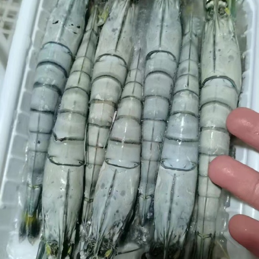  明虾 斑节虾