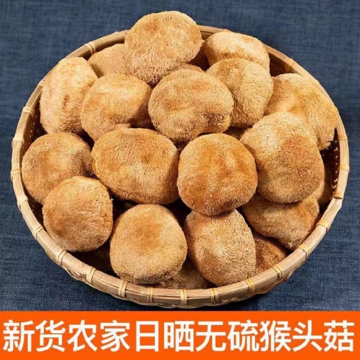 古田县干猴头菇古田猴头菇养胃农家特产食用菌干货猴菇新鲜野生无硫猴头