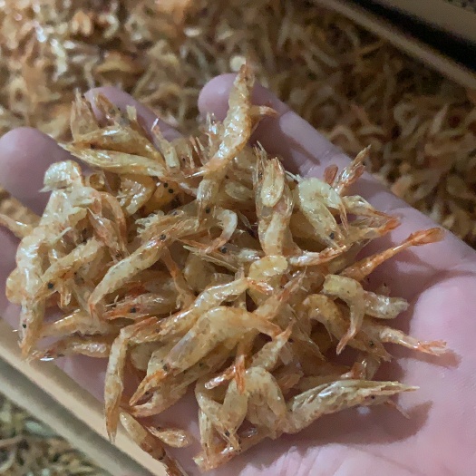 岳阳白虾干 淡干河虾，小河虾