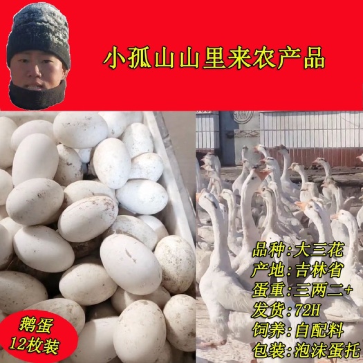 伊通县吉林四平伊通土鹅蛋150-180g单颗泡沫蛋托箱装新鲜发货