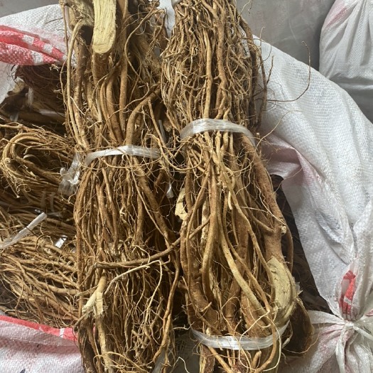 阳西县五指毛桃大扎把，厂家直销新晒无硫干货