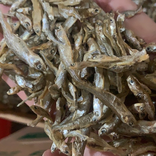 岳阳刁子鱼干 小鱼干，白鱼干
