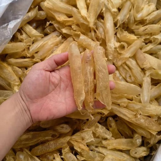 广州花胶 100头咸水筒