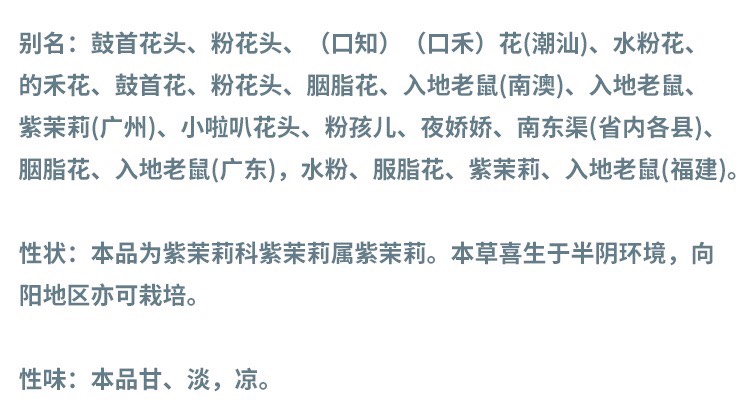 紫茉莉根  入地老鼠 大量批发