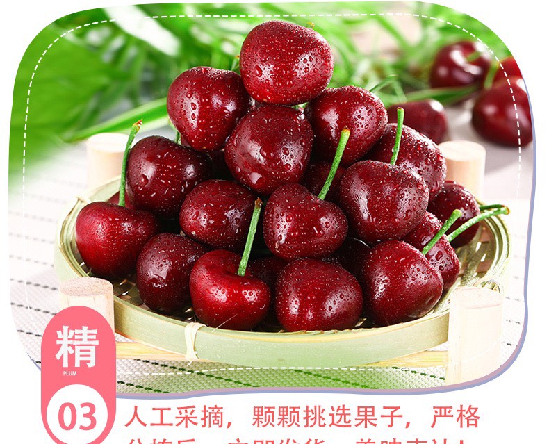 现货大樱桃新鲜水果5斤大连美早车厘子顺丰整箱包邮当季应季3斤