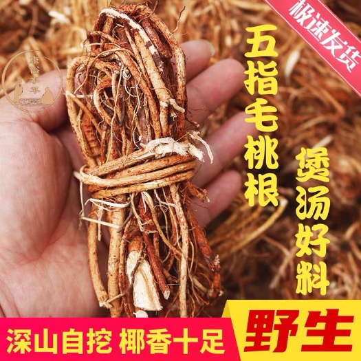 东莞市五指毛桃干扎小扎椰香味