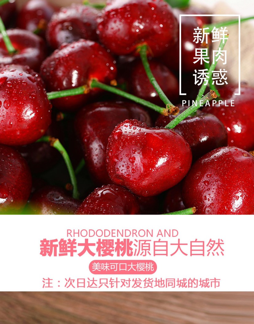现货大樱桃新鲜水果5斤大连美早车厘子顺丰整箱包邮当季应季3斤