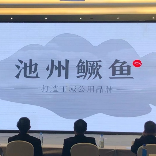 东至县桂鱼 臭鳜鱼