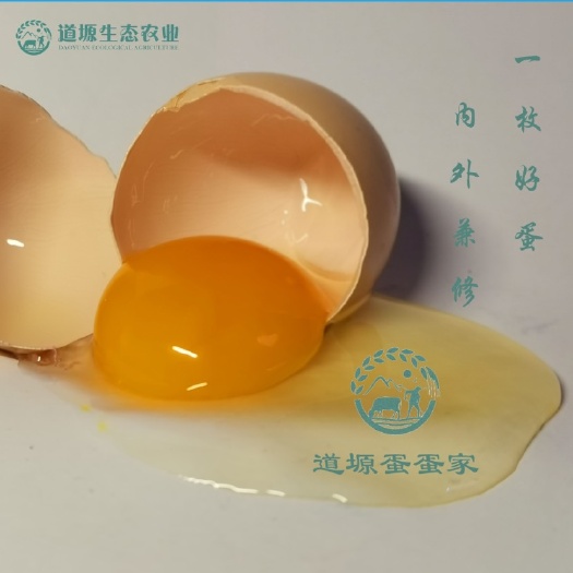 会宁县绿壳蛋 道塬好货【绿壳/粉壳】土鸡蛋 甘肃会宁专业养殖场直发