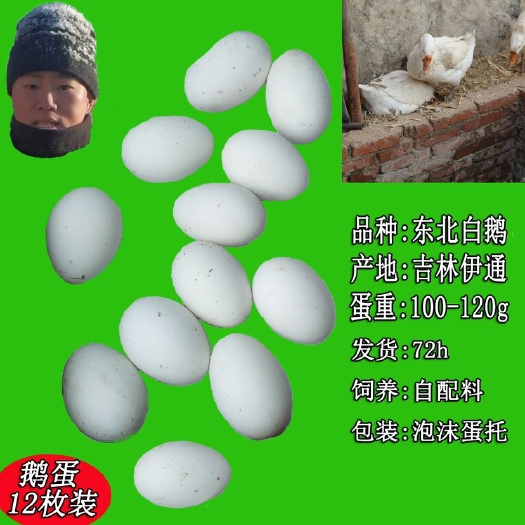 伊通县吉林四平伊通鹅蛋单颗120克以下泡沫箱装发货新鲜禽蛋