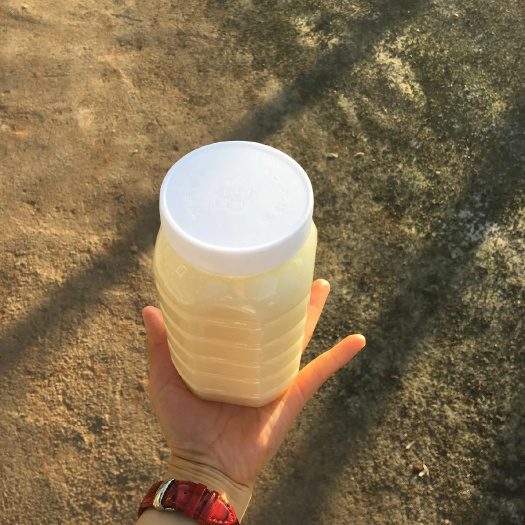 宜宾油菜蜜 2022年春季油菜花蜜！