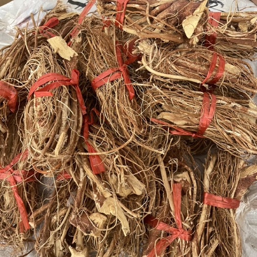 广州五指毛桃（长把，中把，短把都有）
