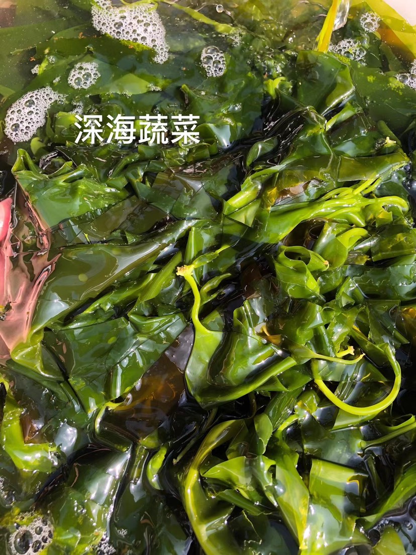 海带嫩苗鲜海带  海带苗，鲜嫩新鲜海白菜火锅食材即食裙带菜