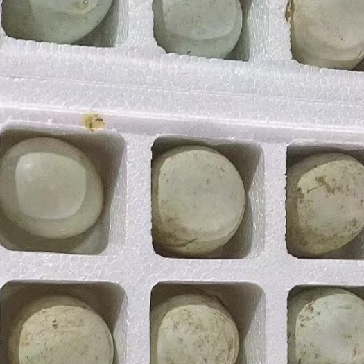 长沙白鸭蛋，桶装蛋
